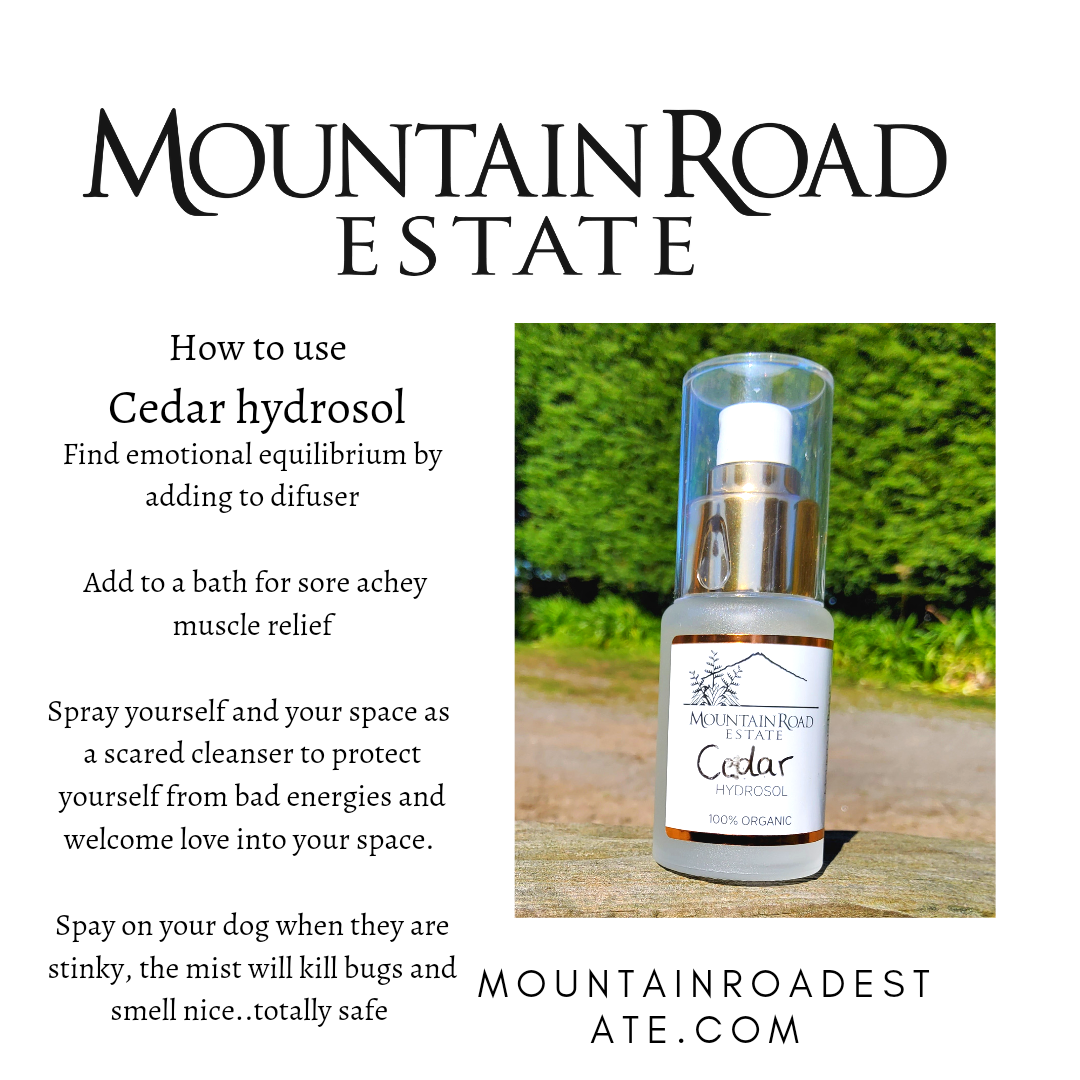 Organic Cedar Hydrosol: Emotional Balance and Grounding