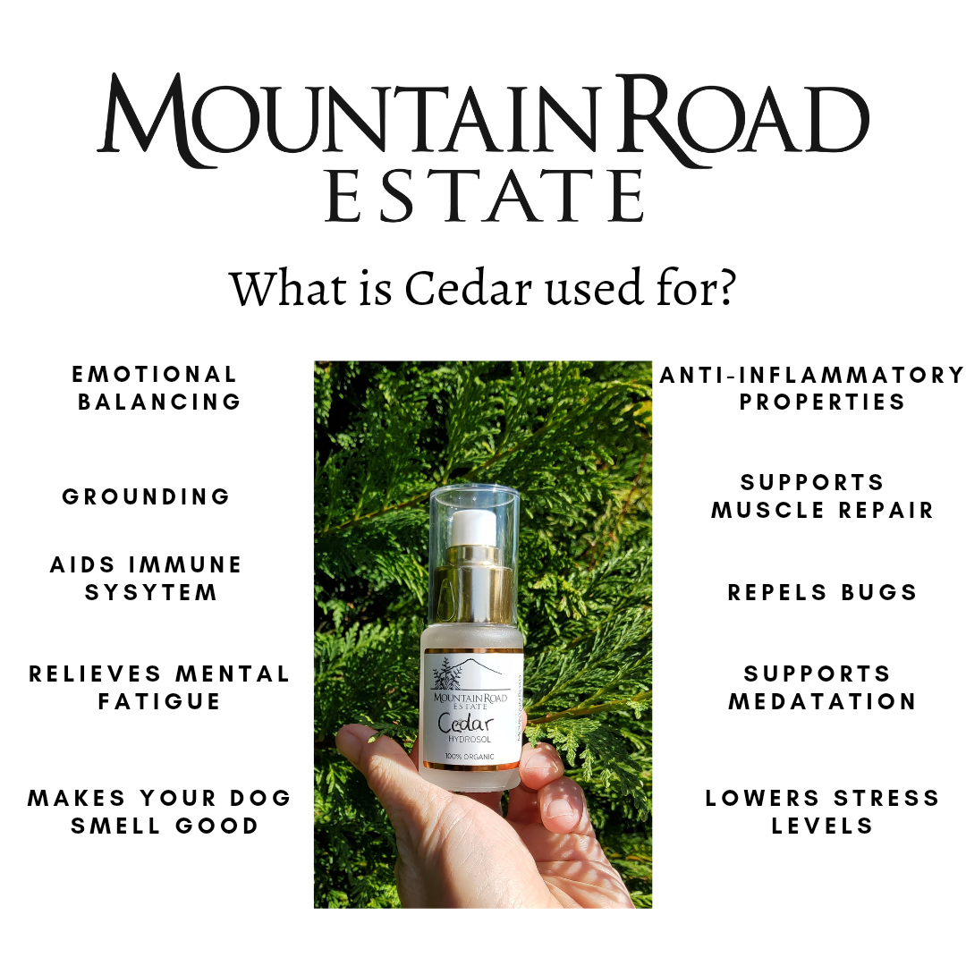 Organic Cedar Hydrosol: Emotional Balance and Grounding